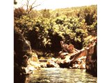 The spring of Harod south of the valley of Jezreel. Cf. Judges 7:1.